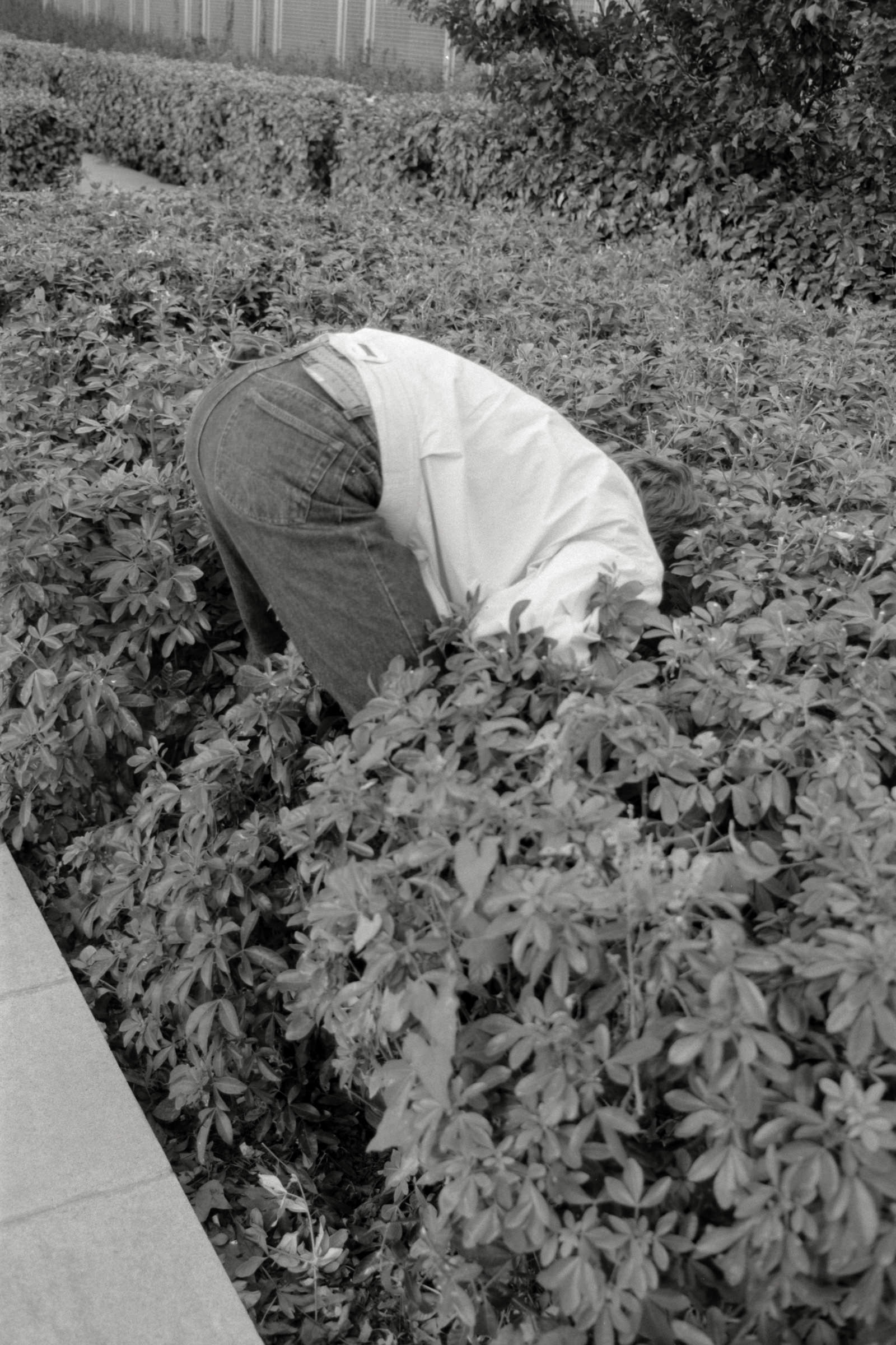 AHP F1990 09 002 sc250506 img07 NLP